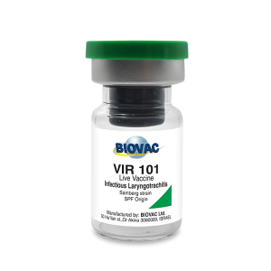 Vir 101