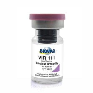 Vir 111